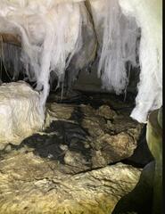 Drooping Insulation