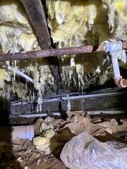 Crawl Space During Inspection