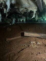 Crawl Space Debris