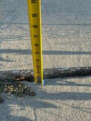Unlevel Concrete