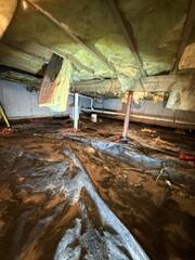 Damp Crawl Space