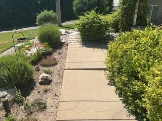 Uneven Front Walkway Before Concrete Repair