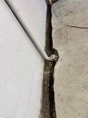 Trench Line