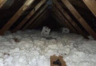 Old Insulation