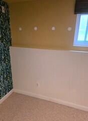RetroFoam Wall Insulation