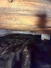 Crawl Space Before