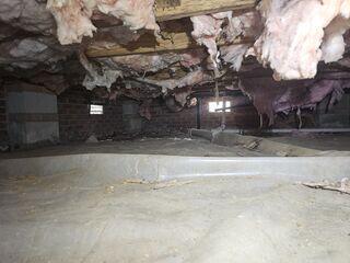 Before image of the crawl space