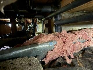 Transforming a Nasty Crawl Space in Longview, WA
