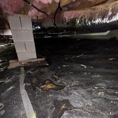 Wet Dirty Crawl Space