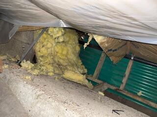 Drooping Fiberglass and Rodent Droppings