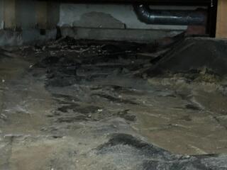 Very Dirty Crawl Space