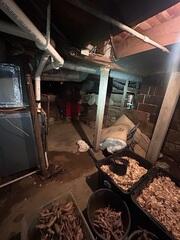 Shimmed Basement Supports