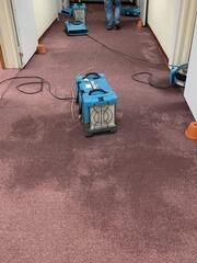 Commercial Water Damage Cleanup in Cornelia, Georgia