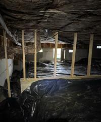 Musty Crawl Space