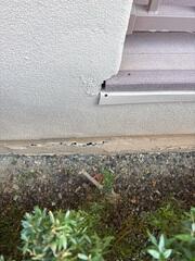 Damaged Stem Wall Before Repair in Gilbert, AZ