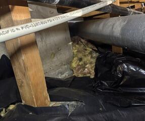 Dry, Stable, Healthy Crawl Space - Portland, OR