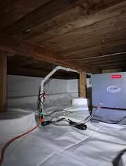 A Glamorous Crawl Space Transformation - Junction City, OR