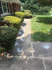 Sidewalk After Repairs