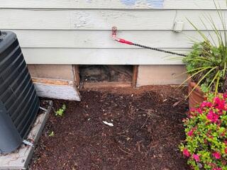Original Crawl Space Access