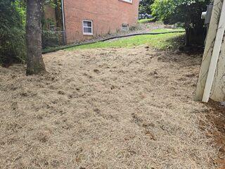 Yard After