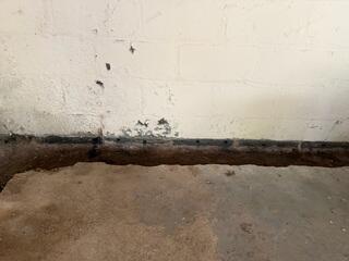Trench