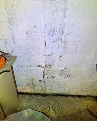 This is not what a basement wall should look like! But it was, unfortunately, what Latangela had been struggling with for some time now. The walls were damaged and beginning to mold due to so much moisture in the basement.