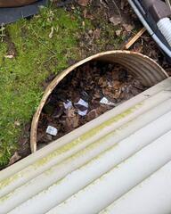 Clogged Window Wells Outside