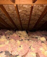 Old, Dirty Insulation