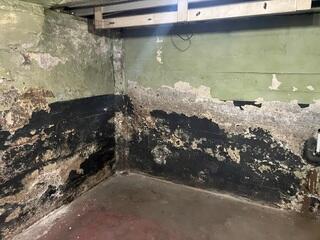 Damp Basement Walls in Portland, OR