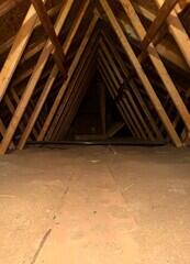 Old Insulation