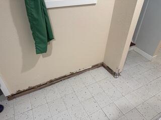 Addressing Basement Water Intrusion in Portland, OR