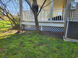For the Porch