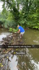 The area was flooded. Due to the beaver's dam the creek was transformed from over 10 feet wide to over 65 feet wide. A beaver dam is built out of twigs, sticks, rocks, and mud.