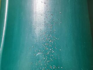 Proactive Termite Treatments