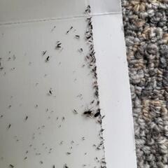 Moisture Problem