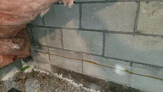 Crawl Space During Inspection