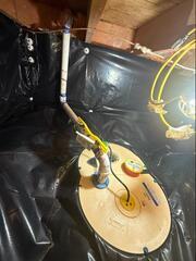 Crawl Space Rodent Intruders - Langley, WA