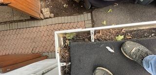 Gutter guards needed