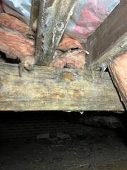 Moisture issues in this crawl space has allowed mold to start to grow on the wood floor joists. If the moisture is not addressed, mold will continue to grow and lead to the rotting of this wood and damage to the subfloor.
