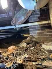 Crawl Space Damage