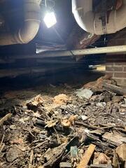 Crawl Space Debris