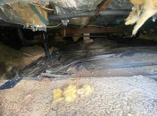 Torn Vapor Barrier