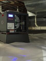 Powerful, Energy-Efficient Dehumidifier