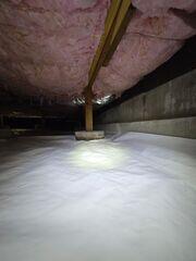 CleanSpace Light