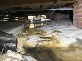 The homeowner tried to dry the water with a fan but as you can imagine, it did not do much.