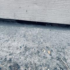 Bait Stations Installed