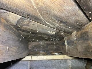 Deteriorating Joists