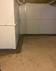 New Wall Insulation