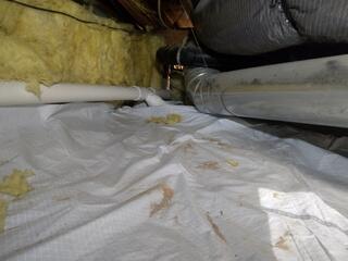 Crawlspace Encapsulation