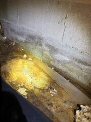 This homeowner had water pooling near the foundation walls.